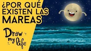¿POR QUÉ EXISTEN LAS MAREAS? - Draw My Life
