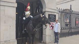 Kings guard on full alert. man smoking next to horse police question him #royalhorseguard