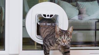 Pawly Door: The Intelligent Cat Door With Prey Detection