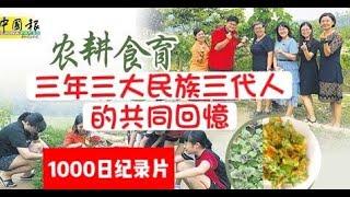 農耕食育大揭秘｜1000天全記錄｜紀錄片｜那個病毒不曾來過的夏天