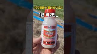 100일 풀안나는제초제