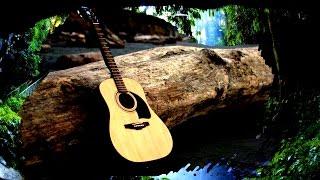 RELAXING ACOUSTIC GUITAR MUSIC 2 HOURS - RAINFOREST SOUNDS  MEDITATION  YOGA SPA - SLEEP STUDY MUSIC