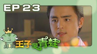 【王子變青蛙The Prince Who Turns Into a Frog】EP23｜三立華劇