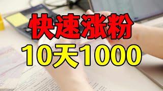 互粉小组下架，自媒体粉丝增长秘诀，10天过千粉最基础