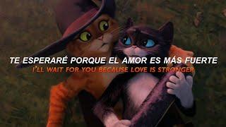 El Tiempo no puede Destruir el Amor entre Gato y Kitty / Un Año - Sebastián Yatra(SubEspañol/Lyrics)