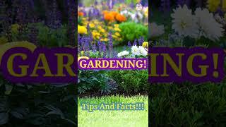 Best and Top Gardening Tips and facts within 1minute- #Shorts -Made for Gardeners!!!