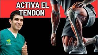 2 ejercicios que ACTIVAN EL COLÁGENO DE LOS TENDONES DE RODILLA