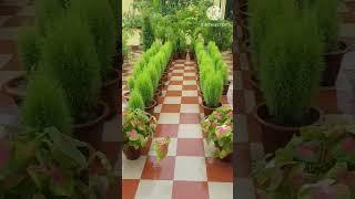 Rupali's Garden - Rim Jhim Gire Sawan