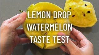 Lemon Drop Watermelon Taste Test