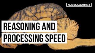 Reasoning and Processing Speed (Series 1)