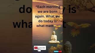 Each morning we are born again.. buddha quotes #shorts #short #ytshorts #youtubeshorts #shortcourses