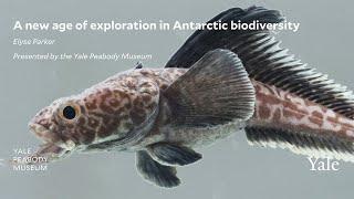 A New Age of Exploration in Antarctic Biodiversity