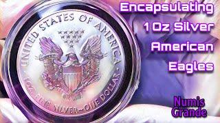 1 Oz Silver American Eagle | Coin Capsules |#silverstacking #silvercoins #numisgrande #budgetstacker