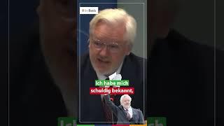 Das steckt hinter der Freiheit von Julian Assange | dieBasis 2024