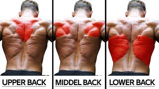 9 Exercises To Build Bigger Back - Back Workout