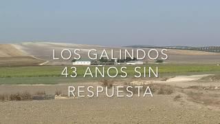 Los Galindos