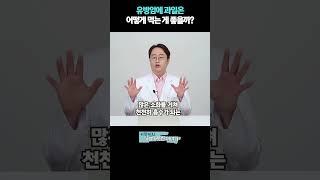 유방암에과일은어떻게먹는게좋을까!?#설탕과유방암 #유방암에좋은음식 #유방암에나쁜음식