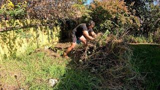 Unbelievable Disaster Yard Clean Up, You Won't believe The Results!