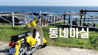 슈퍼커브로 제주 서귀포 동네 마실 다니기