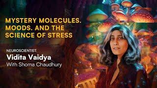 Mystery Molecules, Moods and the Science of Stress with Neuroscientist Vidita Vaidya