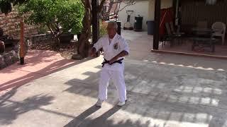 Sanchin kata (Isshin-ryū karate)  Arcenio Advincula