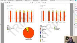 Tally Report Tutorial