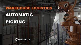 Warehouse logistics - Automatic Picking