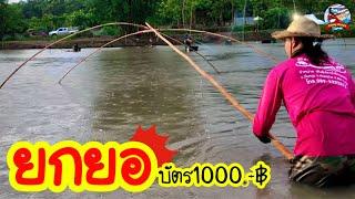 ยกยอ บ่อบัตร1000 ►Fishing lifestyle Ep.586