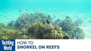 How to snorkel on reefs - Yachting World Bluewater Sailing Series | Yachting World