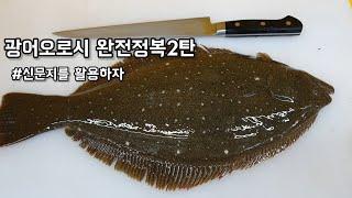 광어회뜨기_광어오로시 누구나 할수있습니다_How to fillet a fish [halibut] ヒラメ