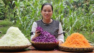 Make Purple Cabbage, Papaya, Carrot Salad Goes To Market Sell - Lý Thị Ca