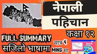 Nepali Pahichan Summary | Class 12