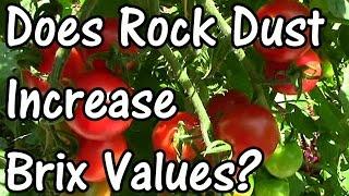 Does Rock Dust Increase Brix Values? Part 1 - Tomatoes