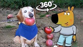 360º VR Dog with Apple in Mouth | Apple Dog AI Memes Compilation / Dog With Apple | Apple Dog Core