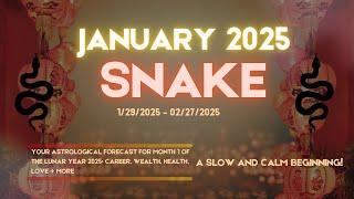  Snake Predictions for Lunar January 2025 + Tips  #predictions