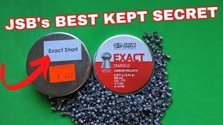 The best jsb air rifle pellet you've probably never heard of!