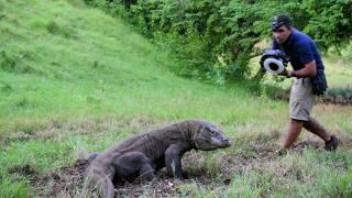 Indonesia: the dangerous Komodo dragons | Full documentary in English