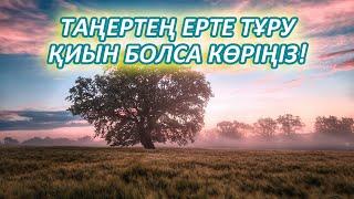 ТАҢЕРТЕҢ ЕРТЕ ТҰРУ ҚИЫН БОЛСА КӨРІҢІЗДЕР, Керемет көмектеседі, Керек арнасы