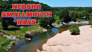 Creek Fishing for Arkansas Smallmouth Bass