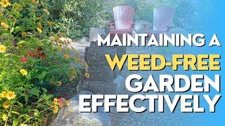 EFFECTIVE TIPS ON MAINTAINING A WEED-FREE GARDEN - Strategies for Cultivating Pristine Garden Space