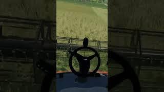 Harvesting Field Grass | Hay Bi-product | Neu Minibrunn | Time Lapse Series | Farming Simulator 22