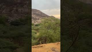 Jaipur the scenic beauty | #landscape #landscaping