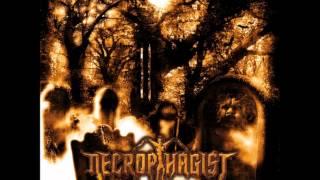 Necrophagist - The Stillborn One (HQ)