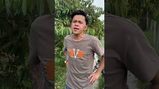 Đi xem bói ( phần cuối )   #funny  #comedy