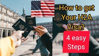 How to get your H2A Visa to work on a farm in America? 4 steps