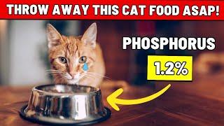 Spot Good Cat Food vs. Bad IN JUST 5 SECONDS! (Your Cat Will Thank You For This!)