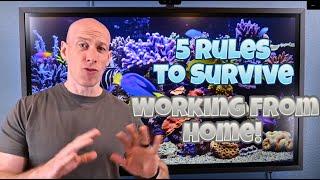 My 5 Rules to Survive Working from Home