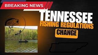 Dramatic Change Smallmouth Bass Fishing Tennessee Regulations Chattanooga Area Lakes