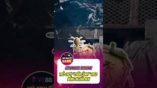 Ancestral Harvest: Trò chơi "chữa lành" theo đúng nghĩa đen  #VT88 #VT88VuTruGame #AncestralHarvest