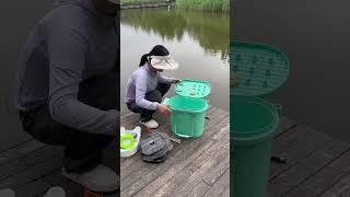 Multifunctional fishing bucket #beginers #outdoors #fishingequipment #shorts